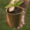 Ag &amp; Growing Supplies - Seed-Starting Supplies