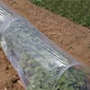 High Tunnels &amp; Cold Frames - Standard Row Cover Hoops 100/Pack