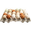 Poultry Equipment - Egg Handling & Laying Nests