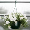 Ag &amp; Growing Supplies - Pots, Trays & Containers