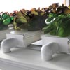 NFT Hydroponic Lettuce System
