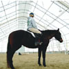Equine Supplies - Riding Arenas & Horse Barns