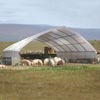 Tension Fabric Buildings - Livestock &amp; Animal Housing - Brute Buildings