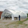 Tension Fabric Buildings - Livestock &amp; Animal Housing - Tall Boy Moo-Tel Buildings