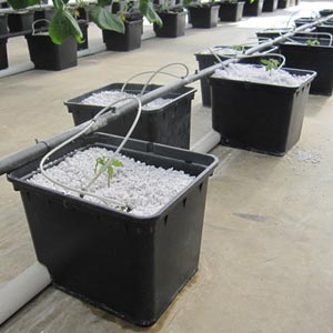 Hydroponic Systems - FarmTek