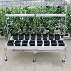 Hydroponic Supplies - FarmTek
