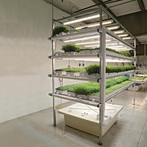 Hydroponic Supplies - FarmTek