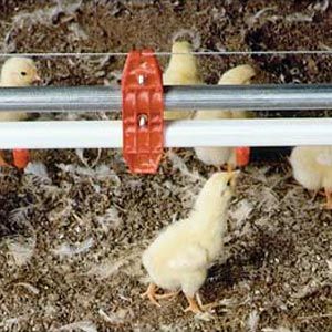 Deluxe Hen Hydrator- Poultry Water & Feed Supplies