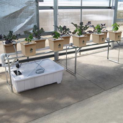 GrowSpan Series 2000 Commercial Greenhouse - 20'W x 96'L w