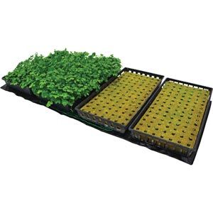 Jump Start Propagation Heat Mat
