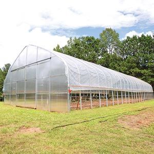 12inchレコード380枚セット (テクノ/ハウス) GrowSpan Series 550 High Tunnel Greenhouse - 30' W x 96'L