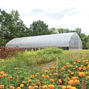 GrowSpan Series 550 High Tunnel Greenhouse - 30' W x 96'L