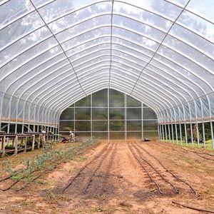 12inchレコード380枚セット (テクノ/ハウス) GrowSpan Series 550 High Tunnel Greenhouse - 30' W x 96'L
