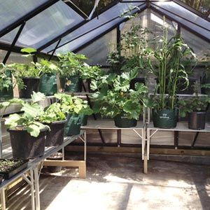 GrowSpan Estate Deluxe Large Greenhouse: 23'2”W x 12'11”H x 13'4”L
