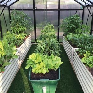 GrowSpan Estate Deluxe Large Greenhouse: 23'2”W x 12'11”H x 13'4”L