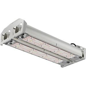 Shop Arize Element L2000 LED Grow Light for Greenhouses