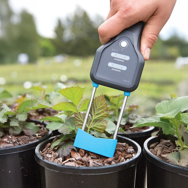 Bluelab Truncheon Nutrient Meter