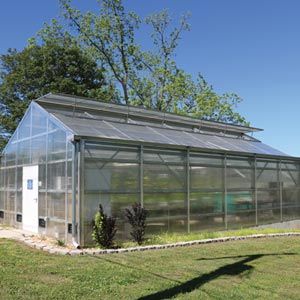 【専用】Greeenhouse Super Strong Luxury Aluminum Glasshouse Heavy Duty Modular