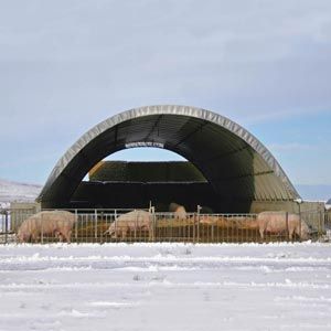 PICharPaK WorksHoP.×CAMP HILLS DS Tarp – PiCharPaK WorkSHop.