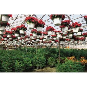根付　寸法（cm）3.5 X 2.0 X 高4.0 GrowSpan Series 1000 Commercial Greenhouse - 21'W x 96'L w