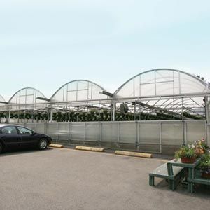 根付　寸法（cm）3.5 X 2.0 X 高4.0 GrowSpan Series 1000 Commercial Greenhouse - 21'W x 96'L w
