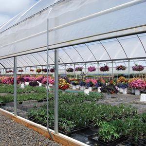 根付　寸法（cm）3.5 X 2.0 X 高4.0 GrowSpan Series 1000 Commercial Greenhouse - 21'W x 96'L w