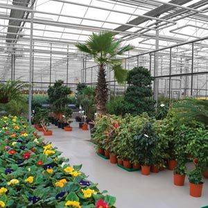 GrowSpan Series 1000 Commercial Greenhouse - 21'W x 96'L w
