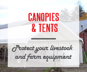 Canopies and Tents