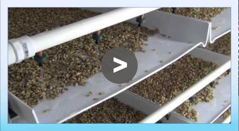 FodderPro 3.0 Commercial Feed System - YouTube Video
