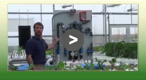 Greenhouse Tips: Hydroponic Greenhouse Tour East Side - YouTube Video
