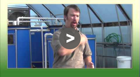 Aquaponic Tips - Small Footprint - YouTube Video