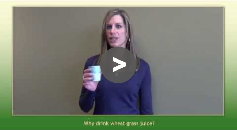 Greenhouse Tips - Wheatgrass Juicing  - YouTube Video