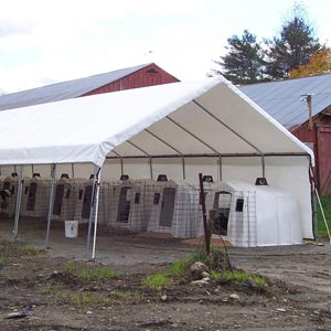  - Canopies & Tents