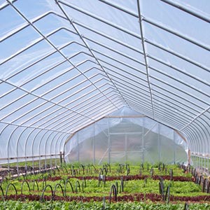  - Greenhouse Covering