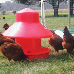  - Poultry Feeders