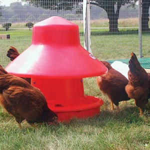 Poultry Equipment Poultry Feeders Poultry Watering Systems Egg