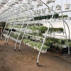 EZ-Grow Hanging Plant Display & Transport Rack