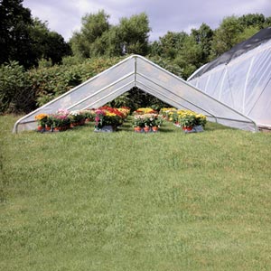 GrowSpan Canopy-Top Cold Frame - 14'W x 40'L