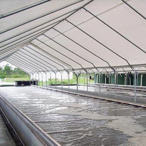 Premium 12 Mil PolyMax&#174; Pond and Canal Liner