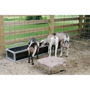 Stay Clean Mini Brute Feed Bunk 19 W X 12 H X 16 L Farmtek