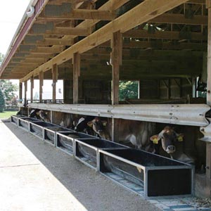 Stay Clean Mini Brute Feed Bunk 19 W X 12 H X 24 L Farmtek