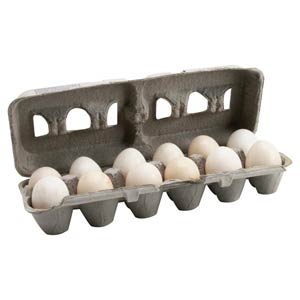  - Egg Cartons 250 Count - On Sale