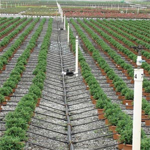  - Drip Irrigation Systems
