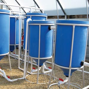 farmtek - hydroponic fodder systems, farming & growing