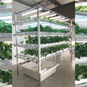 HydroCycle Vertical NFT Lettuce & Herb System - 4" Pro 5' System