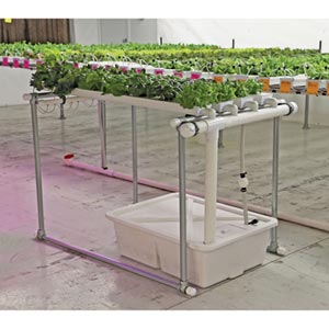  - HydroCycle Hobby NFT Lettuce Systems