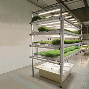  - HydroCycle Pro Vertical Microgreen Systems