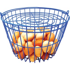  - Egg Basket Grid