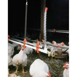  - Poultry Watering Systems
