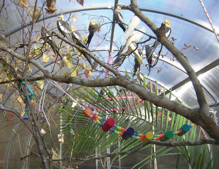 FarmTek Hydroponic Fodder Systems, Farming & Growing Supplies, Hoop